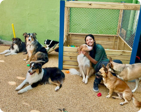 KAHU - O lar do seu pet | Creche, hotel, banho e tosa, coworking pet ...